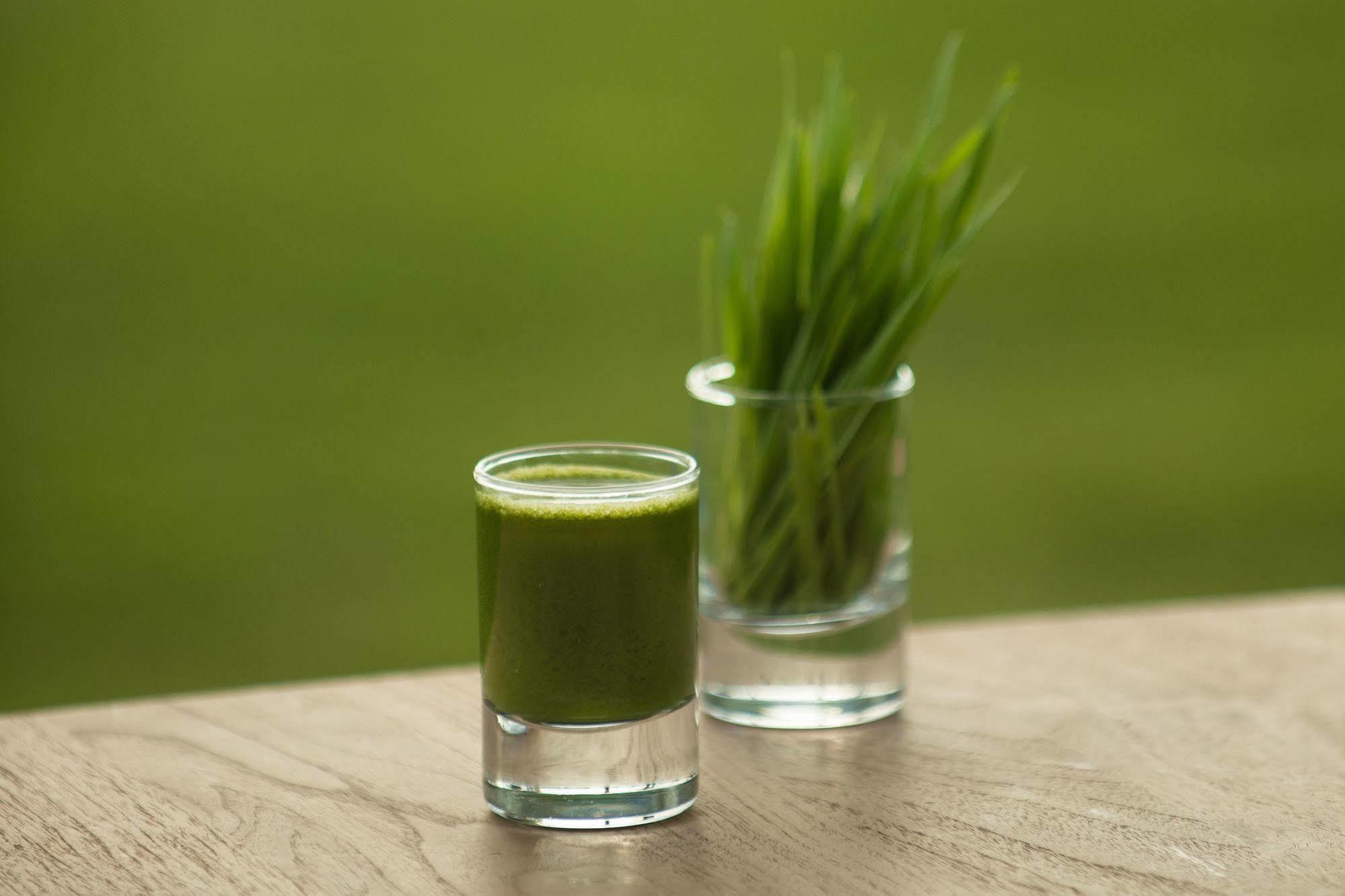 The Lifeco Antalya Well-Being Detox Center And Vegan Hotel Kültér fotó